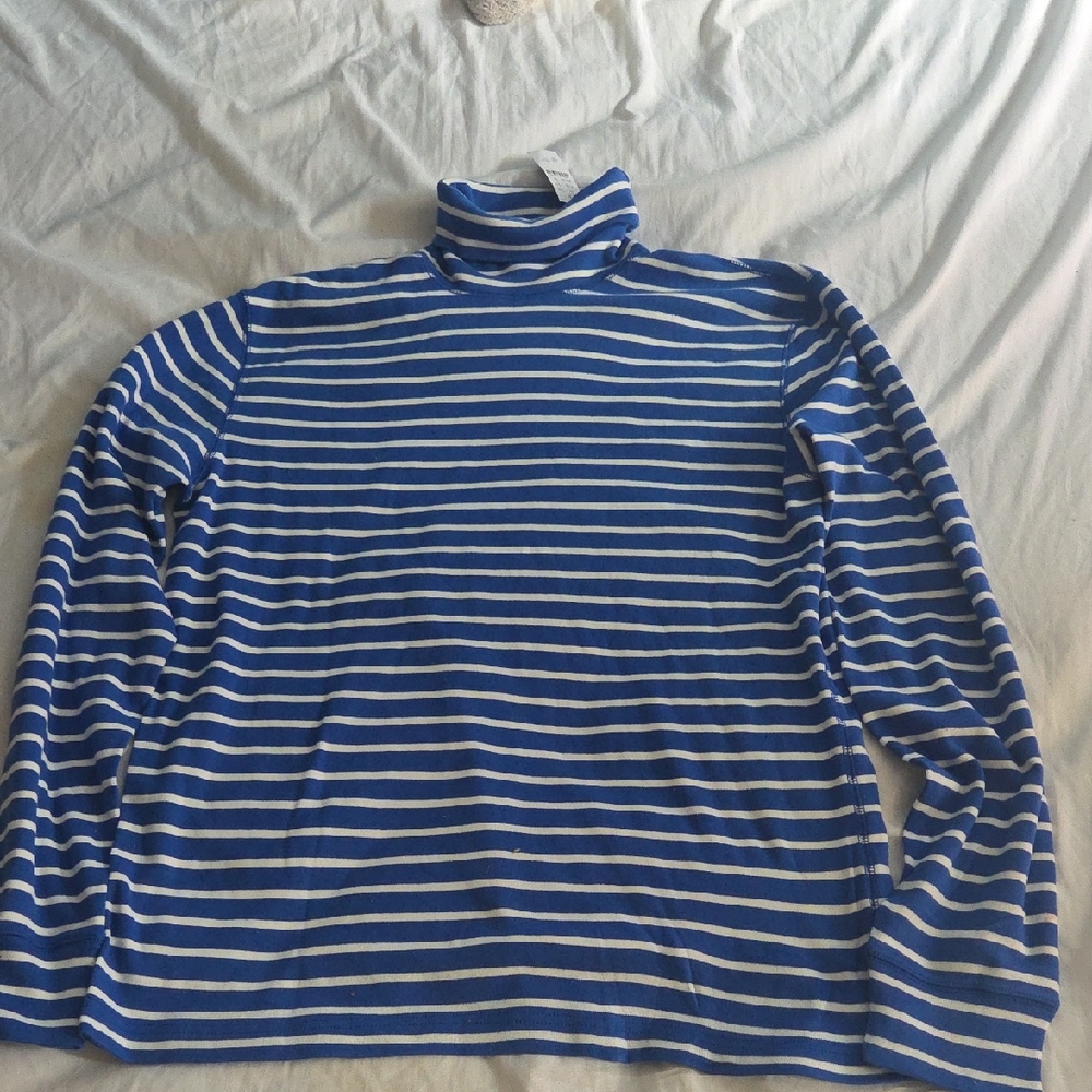 J. Crew Blue and White Striped Turtleneck Sweater